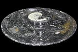 Goniatite Fossil Dish (Stoneware) #77675-1